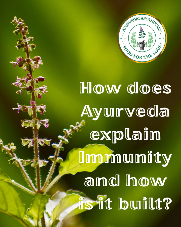 How Does Ayurveda Explain Immunity and How is it Built?