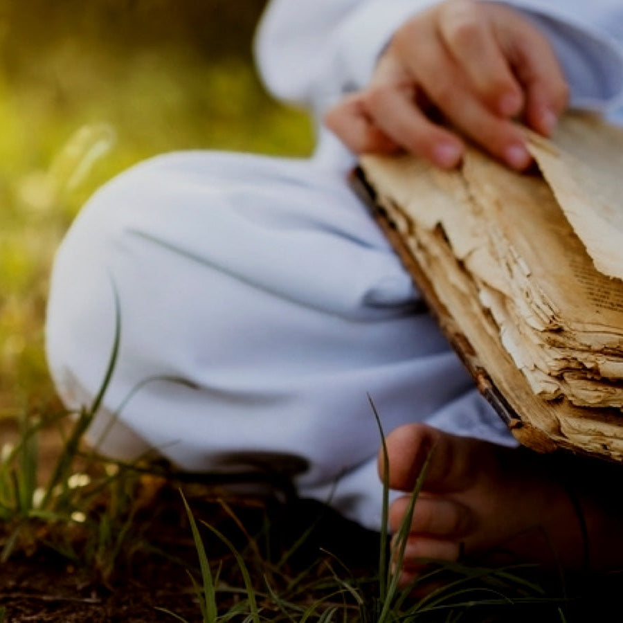 Ayurveda Consultation